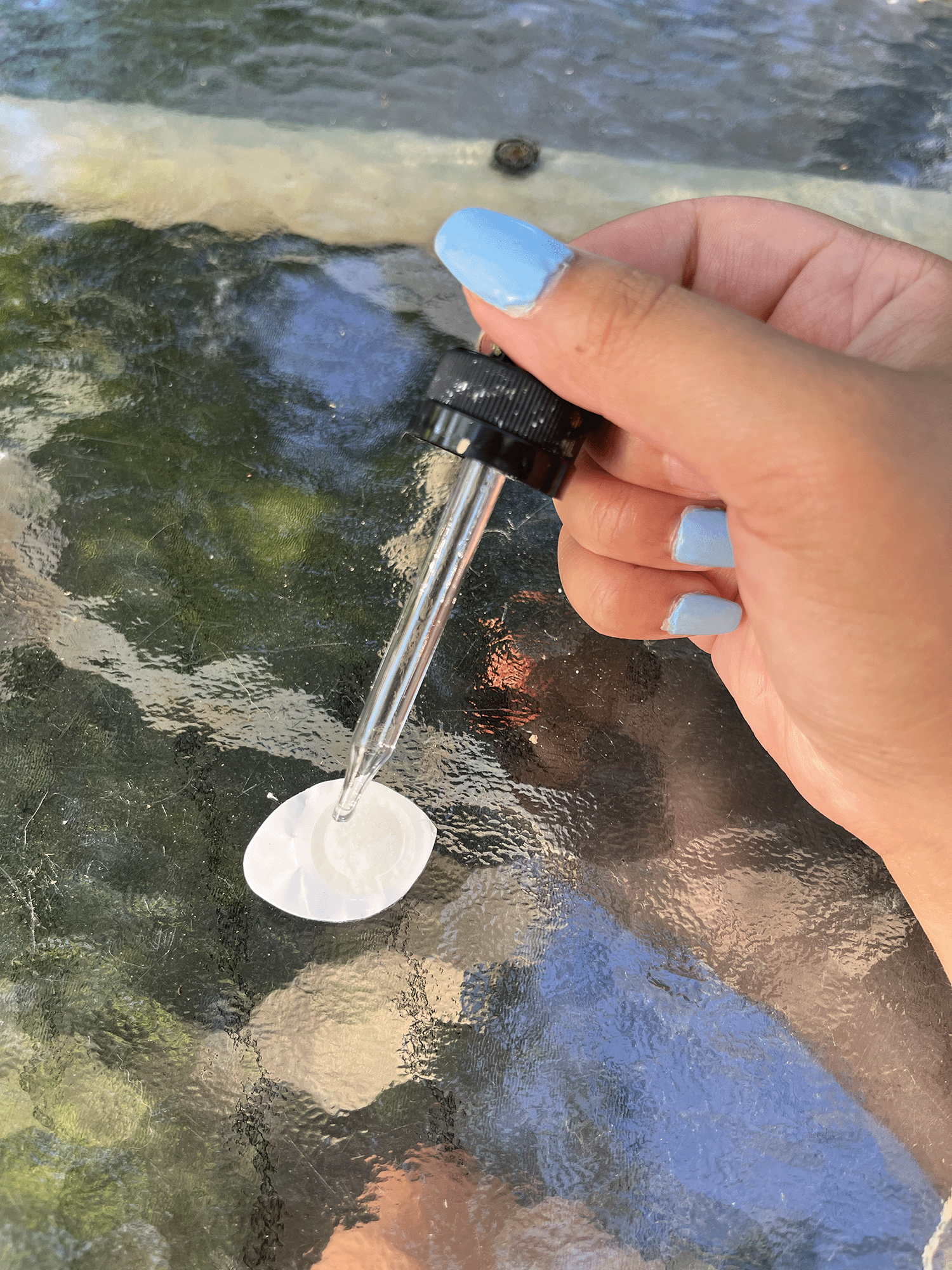 Personal Diffuser 4-count box